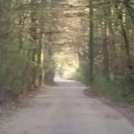 Basiowka Nad Jeziorem بيت للعطل *