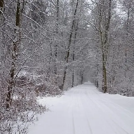 Basiowka Nad Jeziorem Ferienhaus Boszkowo