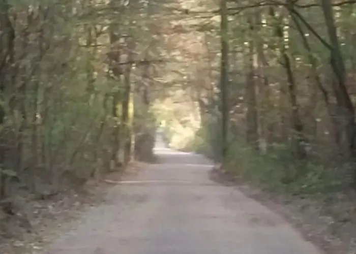 Basiowka Nad Jeziorem Ferienhaus *