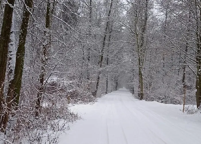 Basiowka Nad Jeziorem Ferienhaus Boszkowo